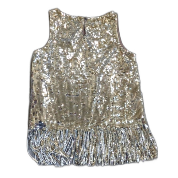 Anthropologie Eva Franco Sleeveless Silver Sequin tank NWT - Picture 2 of 9